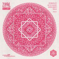 Ziyal - Truth
