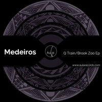 Medeiros - Q Train/Brook Zoo Ep