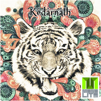 Kedarnath - La urbe Nocturna EP