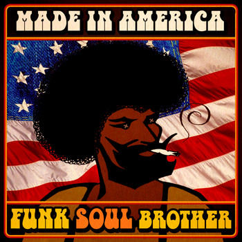 Various Artists - Made in America - Funk Soul Brother!