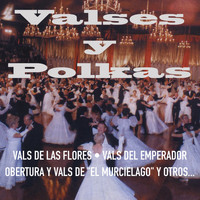 Gran Orquesta Vienesa - Valses y Polkas