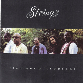 Strings - Flamenco Tropical