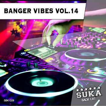 Various Artists - Banger Vibes, Vol. 14
