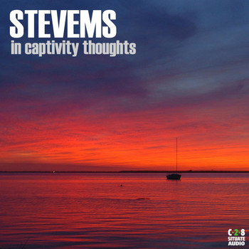 Stevems - In Captivity Thoughts