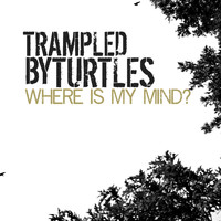 Trampled By Turtles - Where Is My Mind?