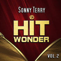 Sonny Terry - Hit Wonder: Sonny Terry, Vol. 2