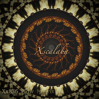 Xscalaba - Xx836 Flow Matrix