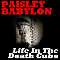 Paisley Babylon - Life in the Death Cube