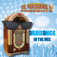 The Professional DJ - Orbisongs in the Mix