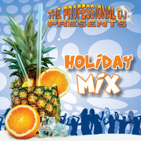 The Professional DJ - Holiday Mix