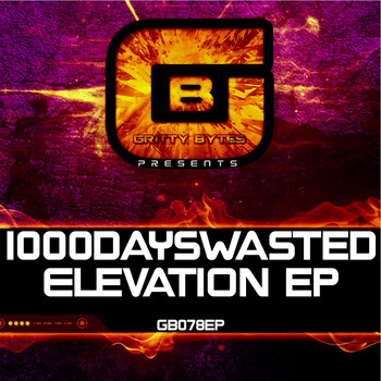 1000DaysWasted - Elevation EP