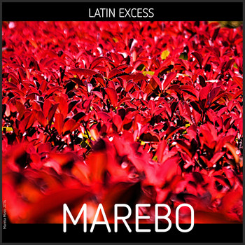 Marebo - Latin Excess