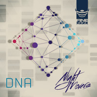 Night Movers - DNA