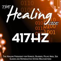EVP - The Healing Code: 417 Hz (1 Hour Healing Frequency for Kidneys, Bladder, Pelvic Area, Sex Glands and Reproductive System Malfunctions)
