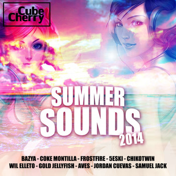 Various Artists - Summer Sounds 2014