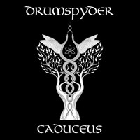 Drumspyder - Caduceus