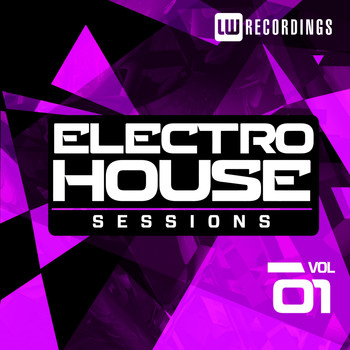 Various Artists - Electro House Sessions Vol. 1