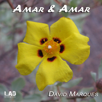David Marques - Amar & Amar
