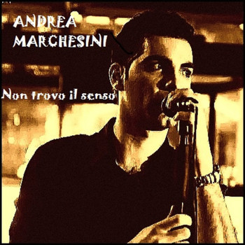Andrea Marchesini - Non trovo il senso
