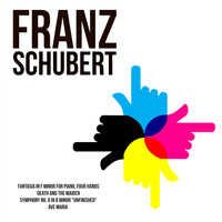 Franz Schubert - Franz Schubert: Masterworks