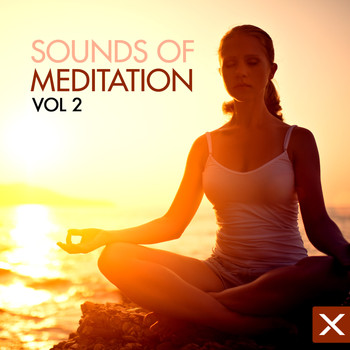 Various Artists - Sounds of Meditation - Vol. 2