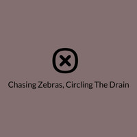 Quarter Life Crisis - Chasing Zebras, Circling the Drain - Single