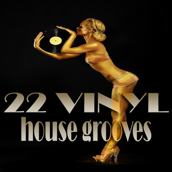 Various Artists - 22 Vinyl House Grooves (Recommended House Selection)