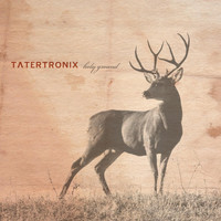 Tatertronix - Holy Ground