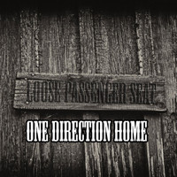 Loose Passenger Seat - One Direction Home EP