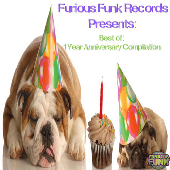 Various Artists - Furious Funk Records 1 Year Anniversary Compilation