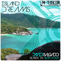 David Salgado - Island Dreams
