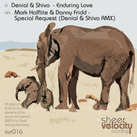 Denial & Shiva - Enduring Love / Special Request (Remix)