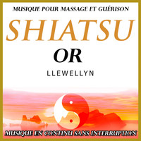 Llewellyn - Shiatsu or: musique pour massage et guérison: musique en continu sans interruption