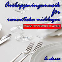 Andreas - Avslappningsmusik för romantiska middagar: kontinuerlig musik utan avbrott