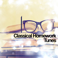Jean Sibelius - 100 Classical Homework Tunes
