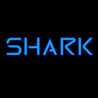 Shark - Who Cares (Demo) (Explicit)
