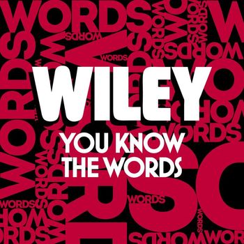 Wiley - You Know the Words (Explicit)