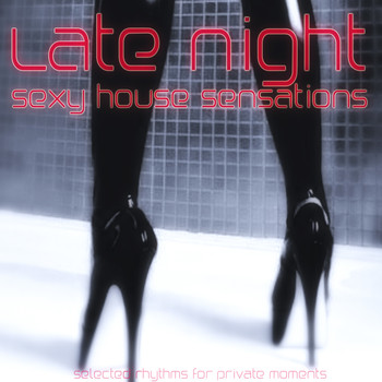 Various Artists - Late Night: Sexy House Sensations
