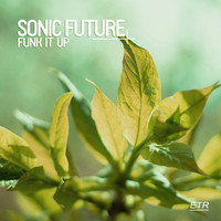 Sonic Future - Funk It Up