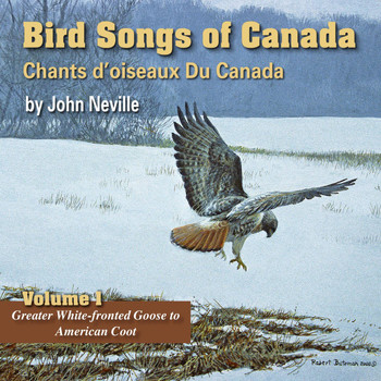 John Neville - Bird Songs of Canada, Vol. 1