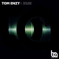 Tom Enzy - That's How We Groove