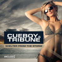Cueboy & Tribune - Shelter from the Storm