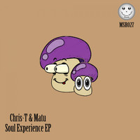 Chris-T & Matu - Soul Experience EP
