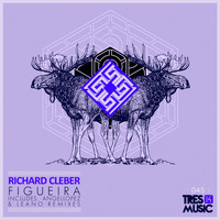 Richard Cleber - Figueira (Original Mix)