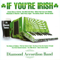 The Diamond Accordion Band - If You're Irish