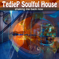 Tedjep Soulful House - Shaking Me Back Now