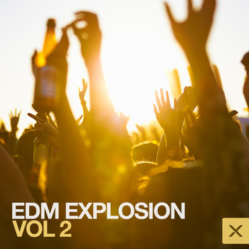 Various Artists - EMD Explosion - Vol. 2
