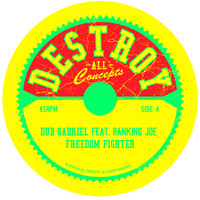 Dub Gabriel - Freedom Fighter (feat. Ranking Joe) - Single