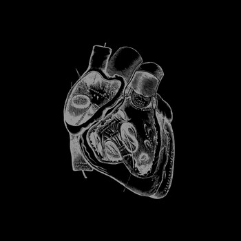 Borealis - Of The Heart Increased