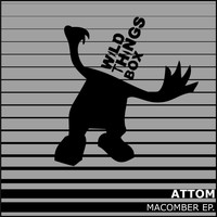 Attom - Fool your mind EP